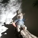 홈스테이 Niyang 밀라노