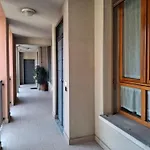 Navigli Star Milaan