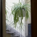 Cozy Apartment- Navigli *