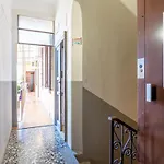Papi * Milano