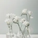 Kleos Citta Studi By Kleos Group Collection 3* Milan