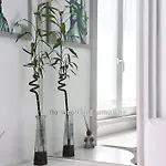 Apartman Porta Venezia *