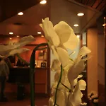 Lido Hotell 3*