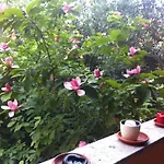 Апартаменты Navigli Downtown Cocco House Милан