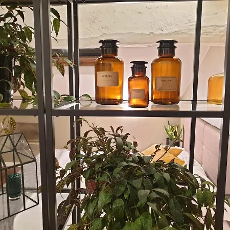 公寓 Vico - Corso 11 *