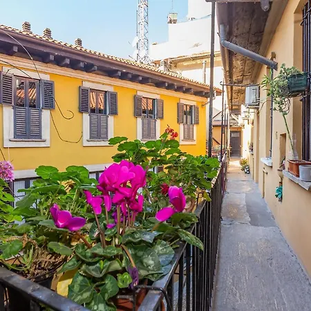 Art Design - Center *