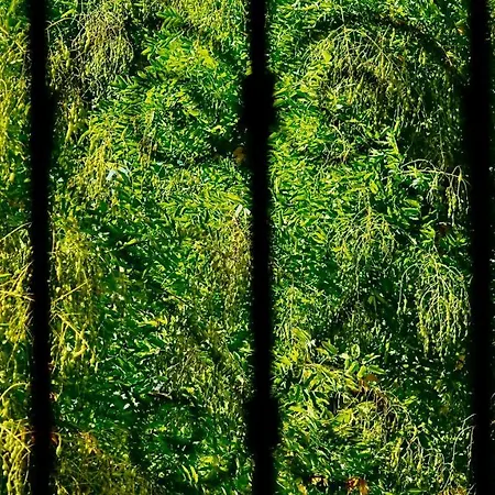 Maison Cinquante Pensión Milán