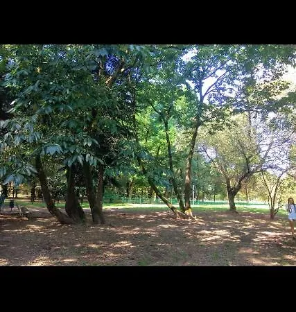 Lessona House 公寓 米兰