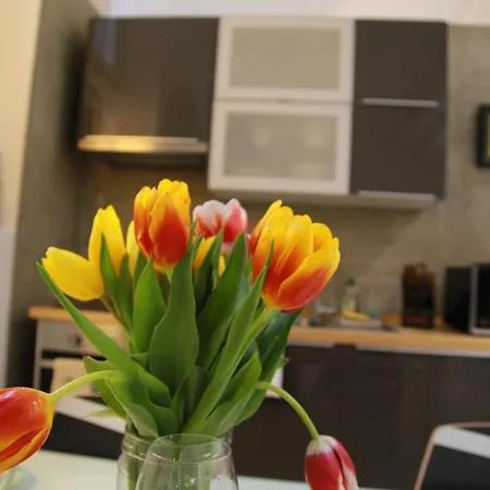 Apartmán Brera Design Loft