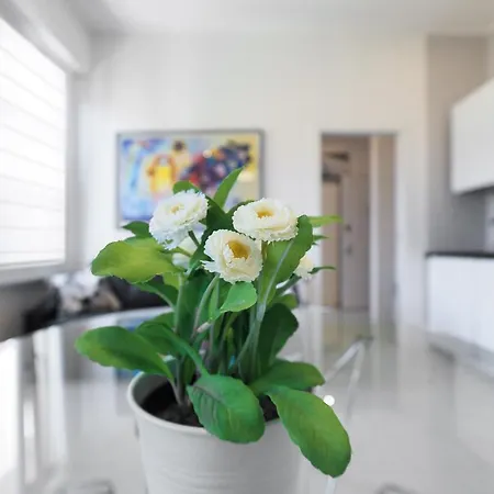 Apartmán Primopiano - Washington Flats *