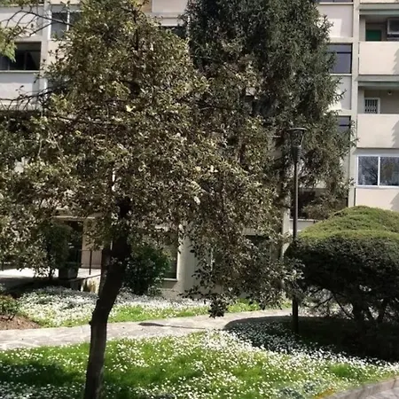 Gioli 3*