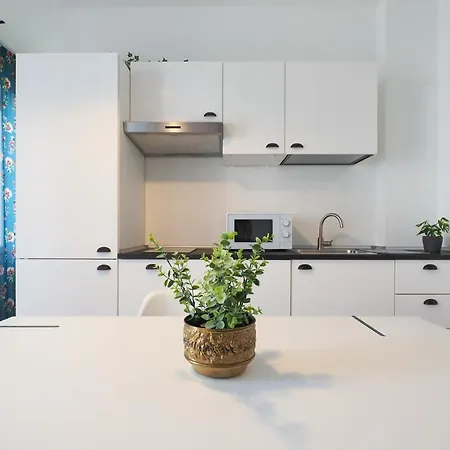 Primopiano - Napo Torriani