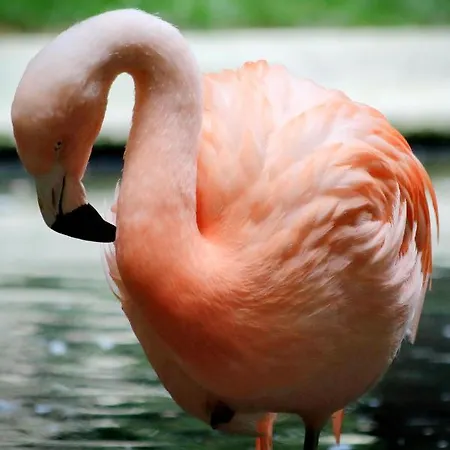 Vico Fashion District מילאנו