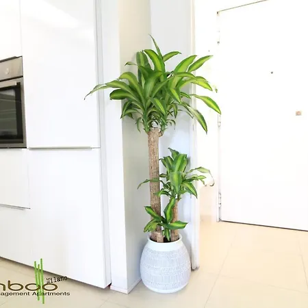 Apartamento Bamboo Papiniano Loft *
