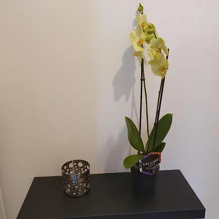 Tolstoj Metro Apartment Milano Appartement