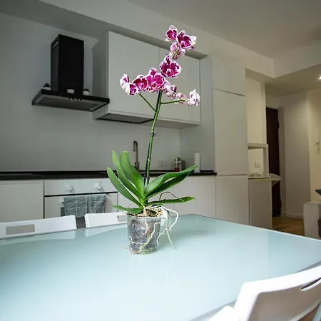 Loft San Siro Rafqa Fiera Life Lotto Milán