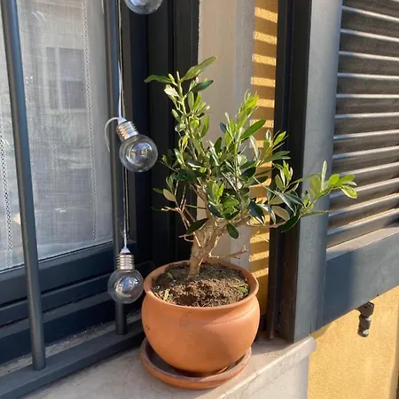 Appartamento Squisito In Stabile Vecchia *