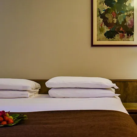 Отель Romana 4*