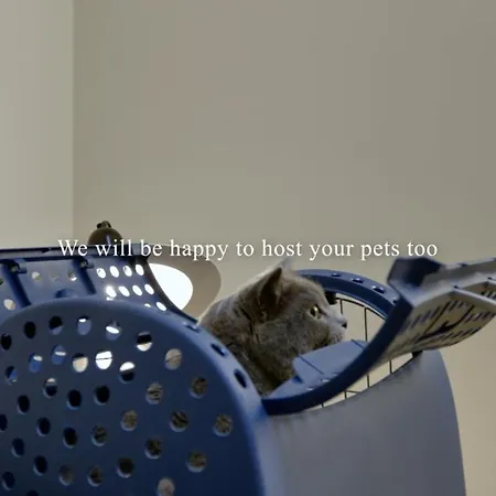 Sant'ambrogio Apartments, Reception H24 *