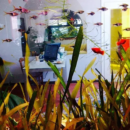 Ai Due Orsi Πανσιόν 4*