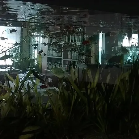 Ai Due Orsi Πανσιόν