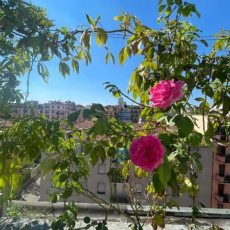 Πανσιόν Flowers 3*