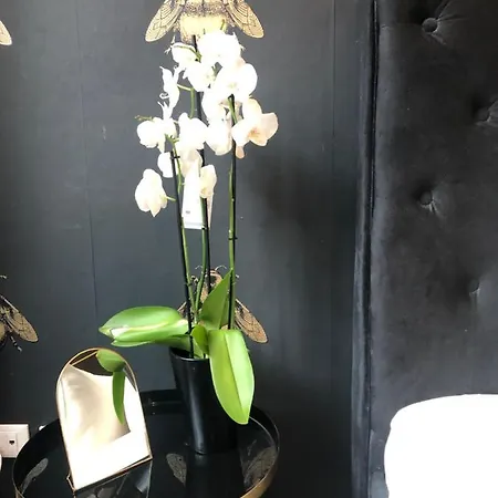 Lippi 42 With Private Garden Couette-café Milan