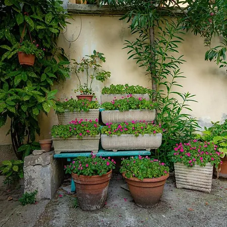 Apartment Secret Garden In The Heart Of Isola