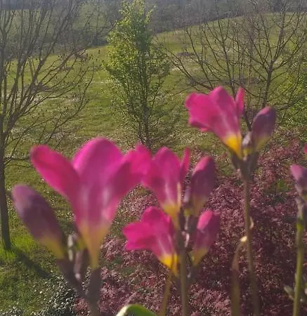 Guest house With Terrace And Loft With Garden In Naviglio Pavese *