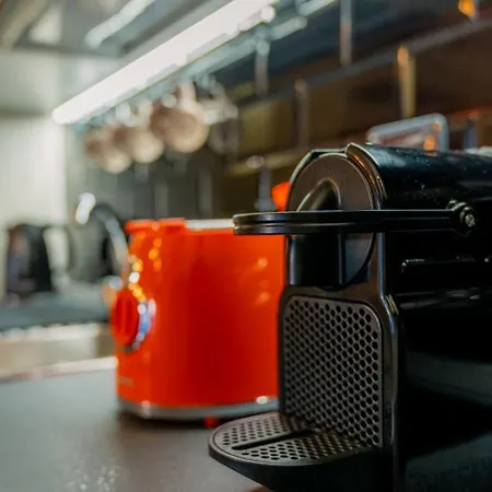 Experience - Jungle Apartman