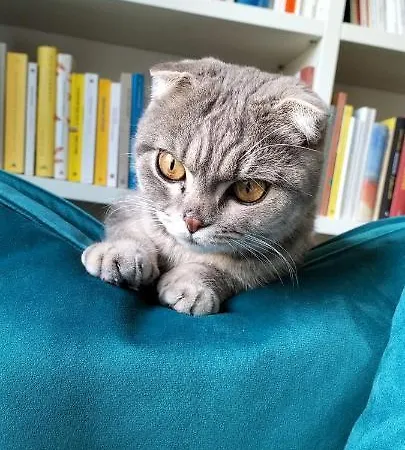 Stanza In Zona Solari In Incantevole Pensión