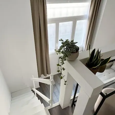 Aura Pacinotti Loft *