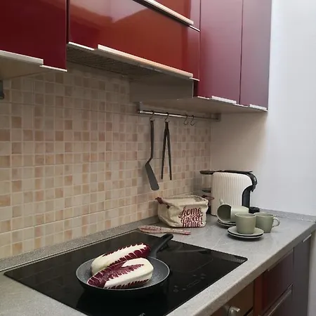 Loft Ristrutturato Vicino M4 Argonne - San Benigno Apartment