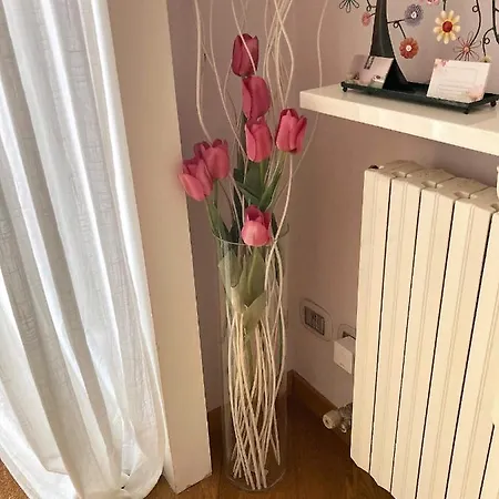 Squisito In Stabile Vecchia