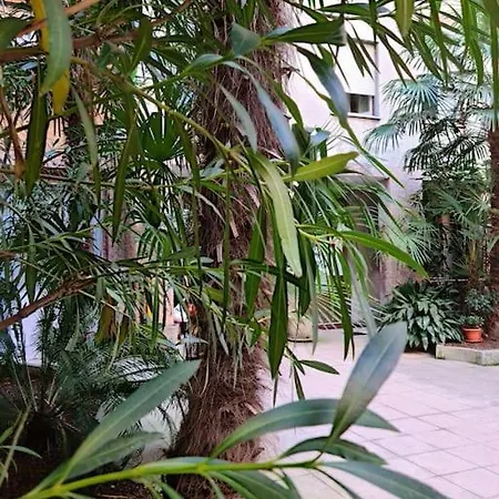 Apartment C&c - Cozy And Cute *