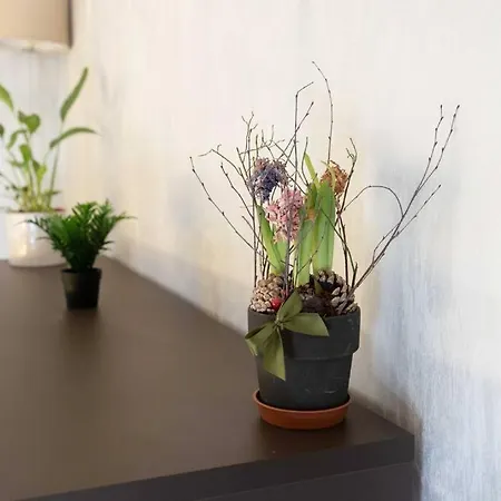 Casemi - Paracelso1 In Centro Apartman