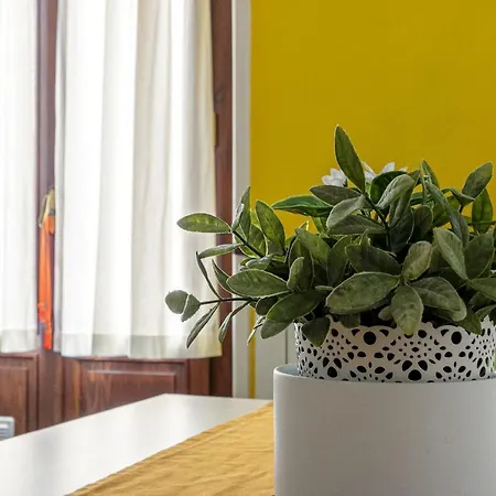 Maroncelli- 2062 By Halldis *