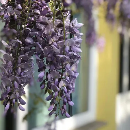 Loft Sottolalbero * Milaan