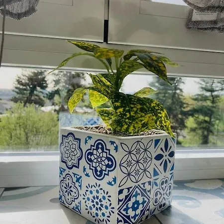 Fk House - Casa Moderna Con Vista Olimpiadi 2026 *