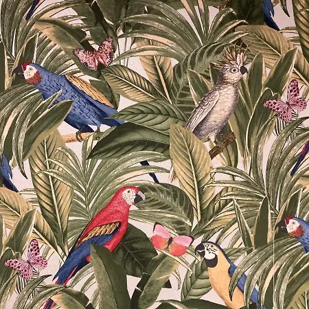 Auberge de jeunesse Koala