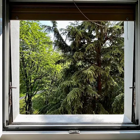 The Bright Place: Wide And Modern In *