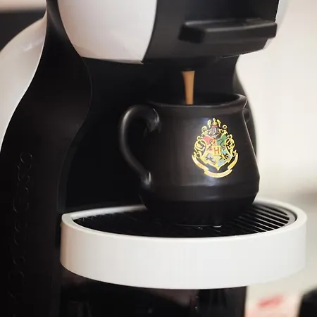 Harry Potter's Magic House - Metro M4 - Linate - Citta Studi Apartman Milánó