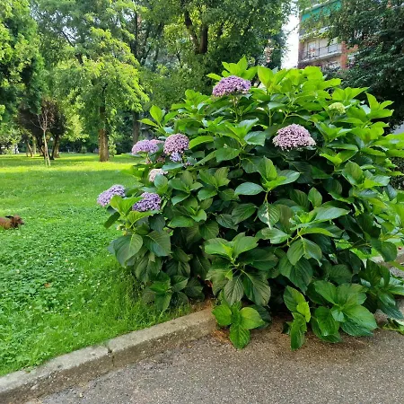 Giardino Sul Naviglio Apartman Milánó
