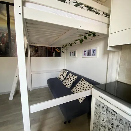Domus *