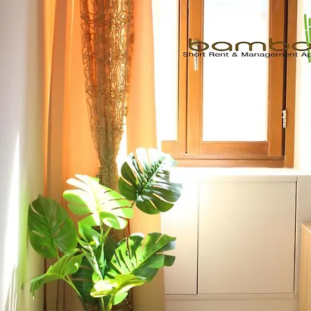Apartment Bamboo Pagani *