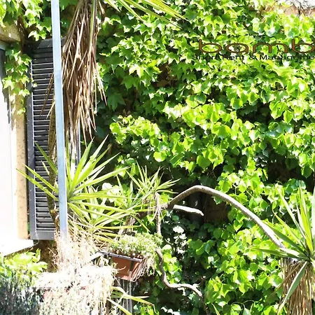 Bamboo Brera Apartamento *