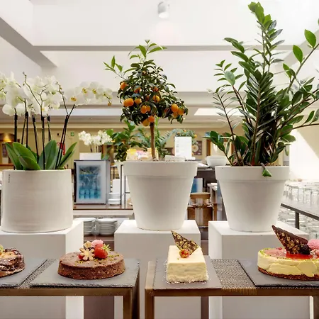 Meliá Hotel 5*