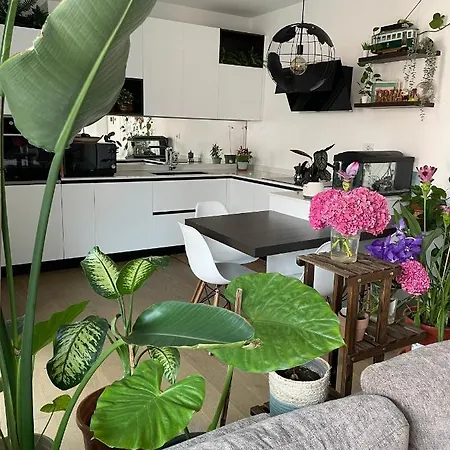 Homestay Mowgli House - Luxury Milan