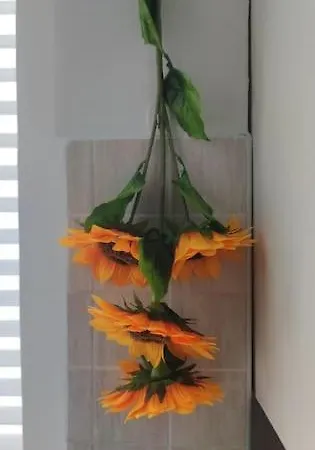 Cozy In Apartamento