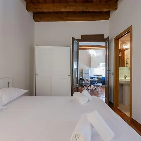 Youhosty - Ripa5 C *